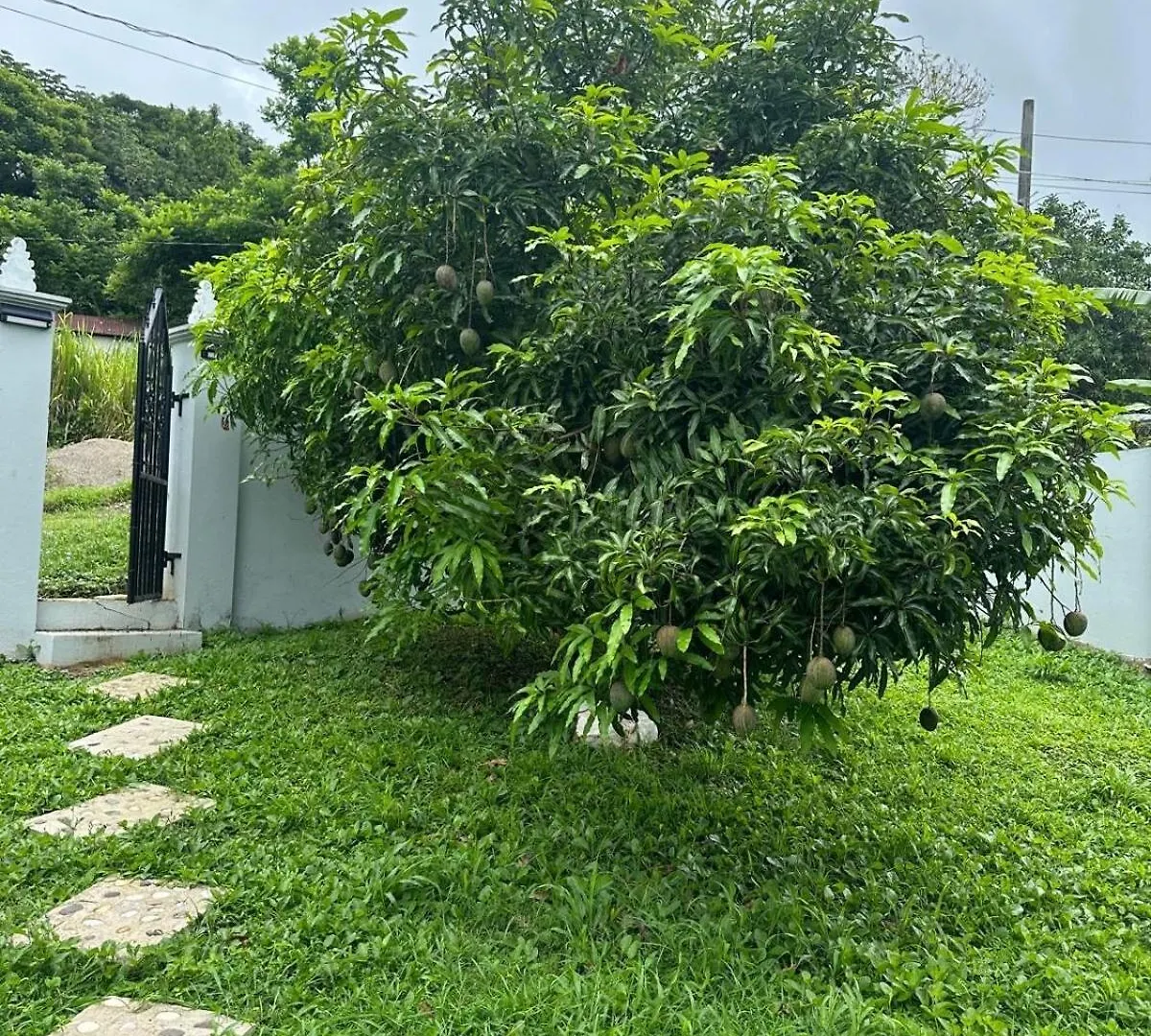 Secluded Haven 2 Bedroom St Mary Jamaica Charlottenburgh